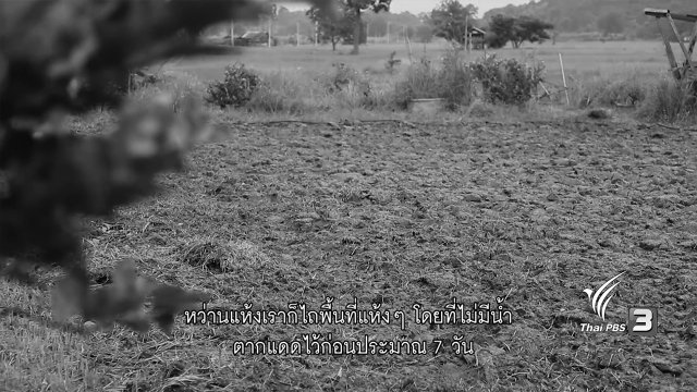 ​หว่านแห้ง