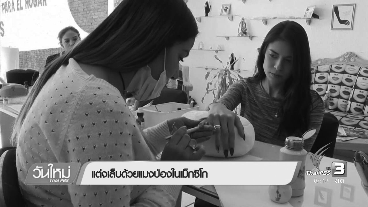 วันใหม่ ไทยพีบีเอส - แต่งเล็บด้วยแมงป่องในเม็กซิโก