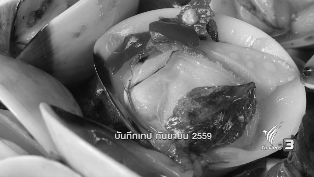 หอยกระปุก