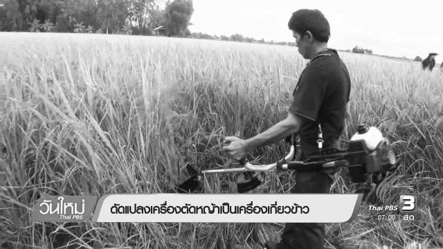 ดัดแปลงเครื่องตัดหญ้า เป็นเครื่องเกี่ยวข้าว