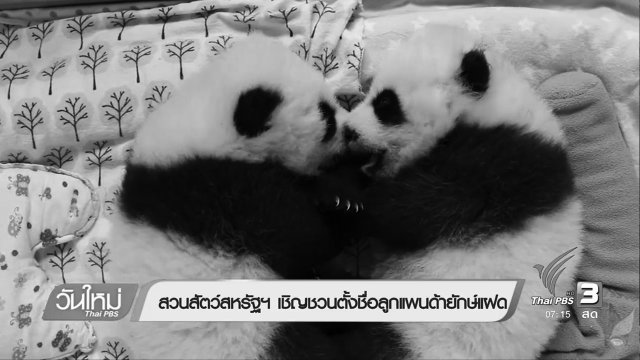 สวนสัตว์สหรัฐฯเชิญชวนตั้งชื่อลูกแพนด้ายักษ์แฝด