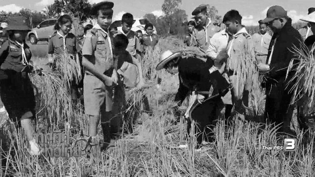 ประเด็นข่าว ( 24 พ.ย. 59)