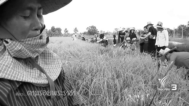 เที่ยว...ตามรอยพระราชา
