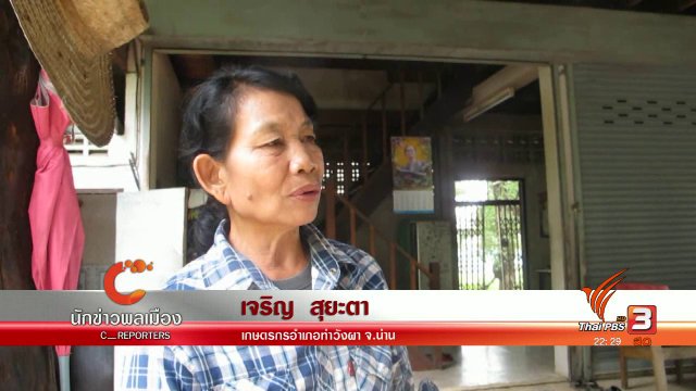นักข่าวพลเมือง : ขยายเมล็ดพันธุ์สู่เพื่อนเกษตรกร