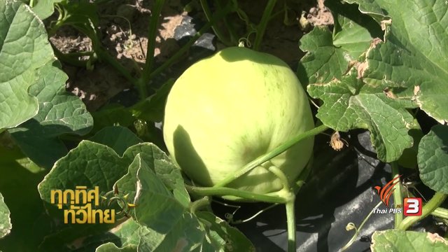 ประเด็นข่าว ( 9 ก.พ. 60)