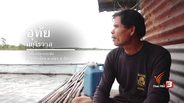 แลนคาปลากระชัง