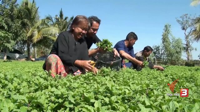 ประเด็นข่าว ( 8 ก.พ. 60)