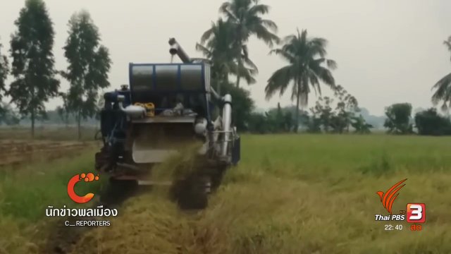 นักข่าวพลเมือง : ป้าแสงเดือน - ลุงบุญทัน ชีวิตชาวนาบนทางแยกปัญหาหนี้สิน