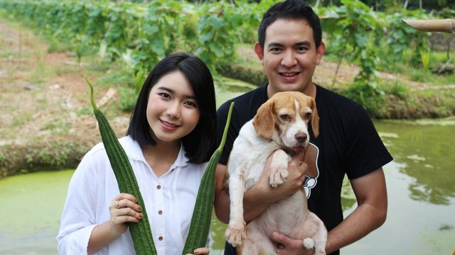 บวบเหลี่ยม