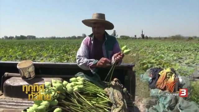 ประเด็นข่าว ( 10 ก.พ. 60)