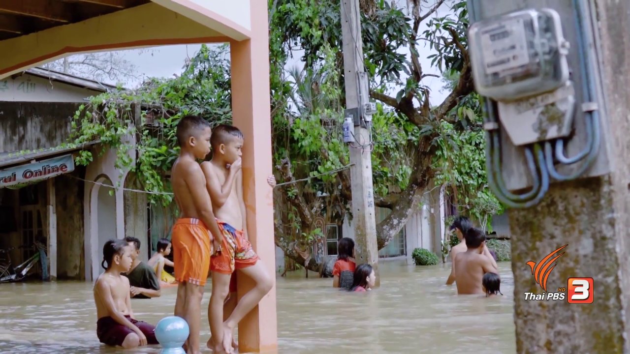 ภูมิภาค 3.0 - ปะกาฮะรัง ชุมชนเรียนรู้สู้ภัยพิบัติ, ปูนาหน้าแล้ง แห่งวังคก, คนรุ่นใหม่ หัวใจเกษตร