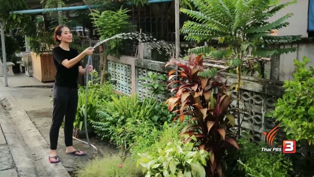 สุดยอดแม่บ้าน : ทำความสะอาดตะไคร่น้ำในสายยาง