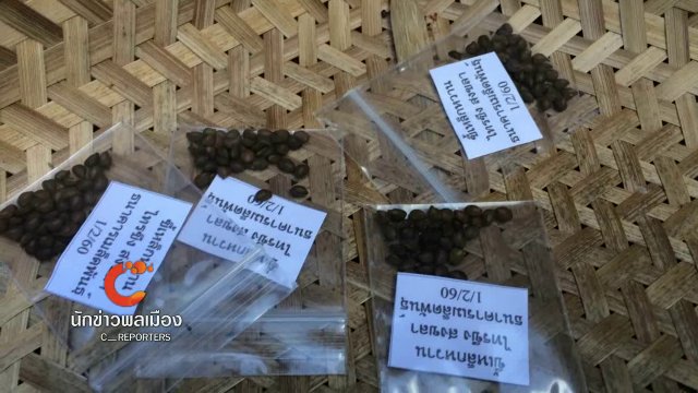 นักข่าวพลเมือง : กองทุนเมล็ดพันธุ์น้ำใจหลังน้ำท่วมภาคใต้