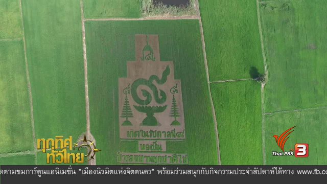 ประเด็นข่าว ( 15 ก.พ. 60)