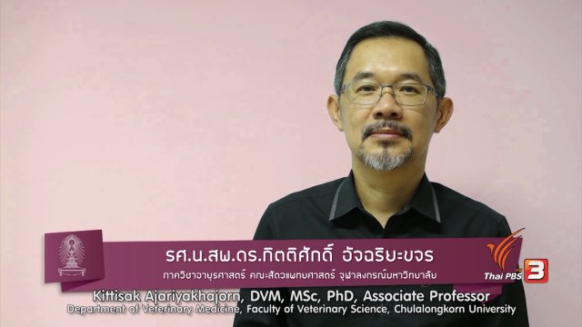 soเชี่ยว FAKE or FACT : เปิดเพลงให้วัวฟัง ทำให้วัวผ่อนคลายและเพิ่มน้ำนมได้ ?