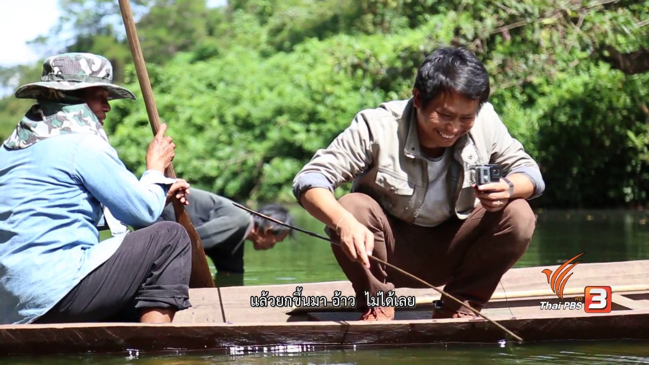 ภูมิภาค 3.0 - ลำโดมใหญ่ ต้นใสปลายเปลี่ยน, ไผ่ครอบจักรวาล, เรือนยกพื้น