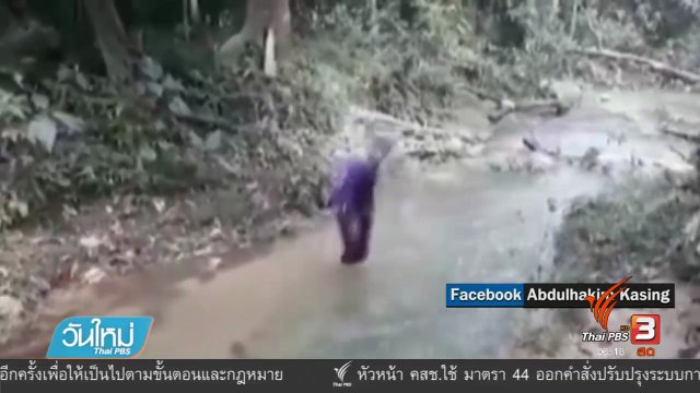 คลิกให้ปัง : คลิปล้อเลียนสติกเกอร์นกม่วงสะบัดหัว