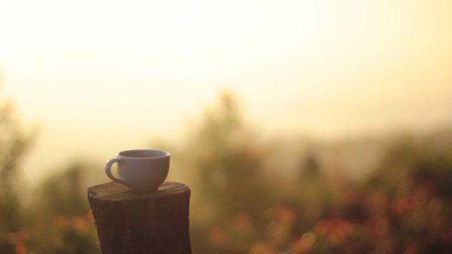 หอมกลิ่นแม่จันใต้