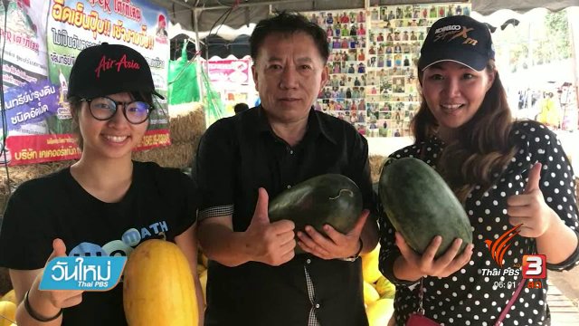 แตงโมอินทรีย์แก้จน จ.สุรินทร์