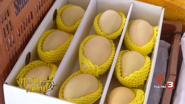 ประเด็นข่าว ( 27 ก.พ. 60)