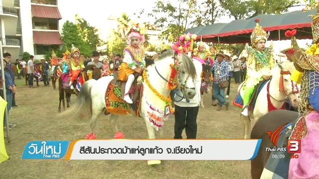 สีสันประกวดม้าแห่ลูกแก้ว