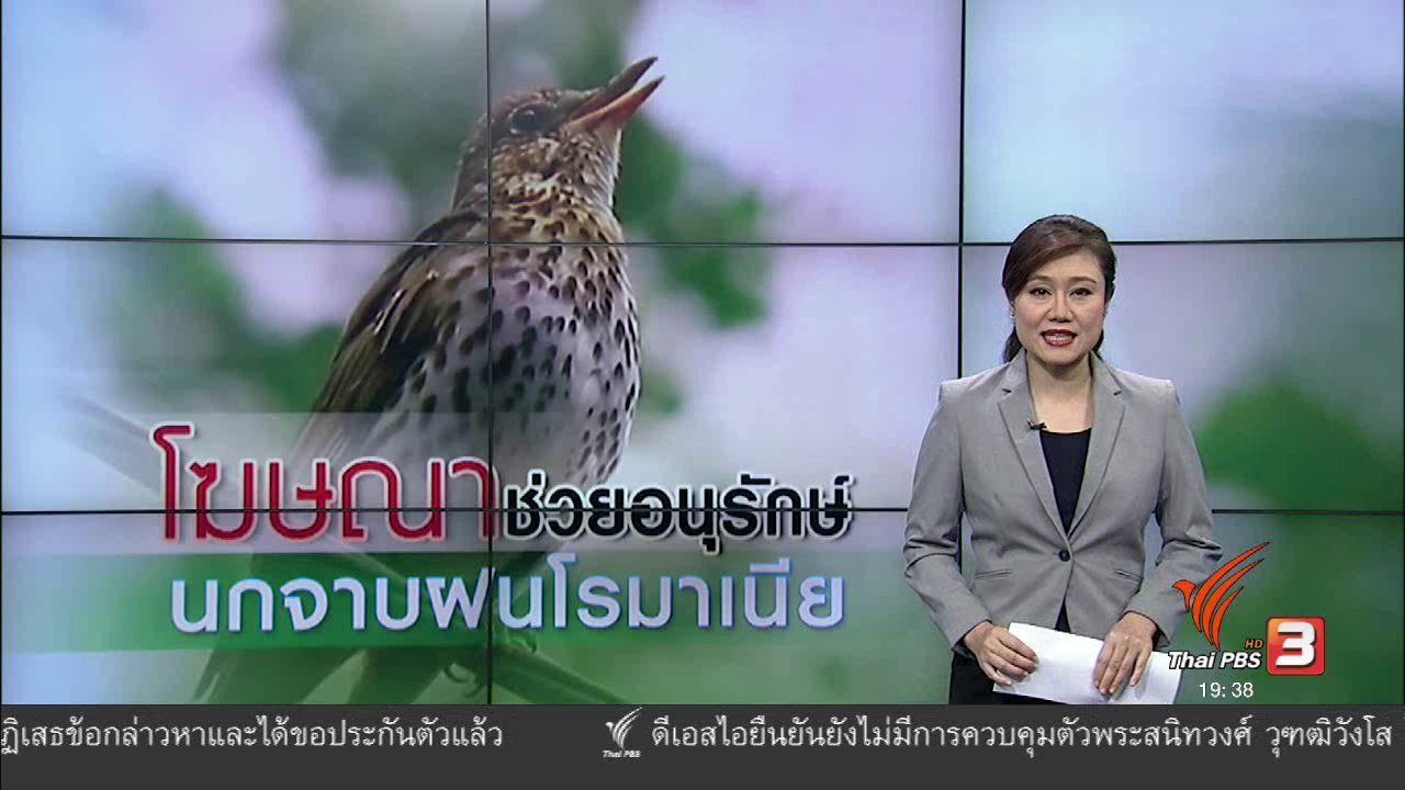 ข่าวค่ำ มิติใหม่ทั่วไทย - วิเคราะห์สถานการณ์ต่างประเทศ : โฆษณาช่วยอนุรักษ์นกจาบฝนโรมาเนีย