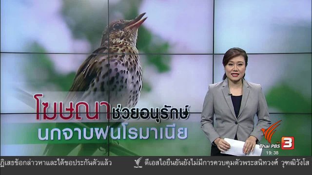 วิเคราะห์สถานการณ์ต่างประเทศ : โฆษณาช่วยอนุรักษ์นกจาบฝนโรมาเนีย