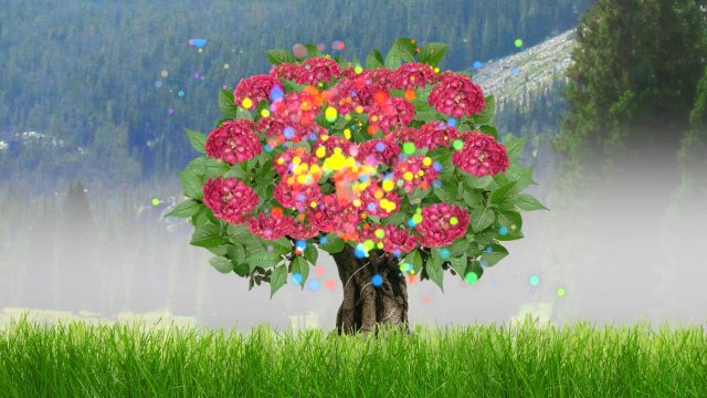 ดอกไม้นักดนตรี