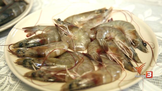 สุดยอดแม่บ้าน: วิธีเลือกซื้อกุ้ง