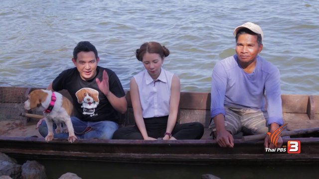 ปลากราย