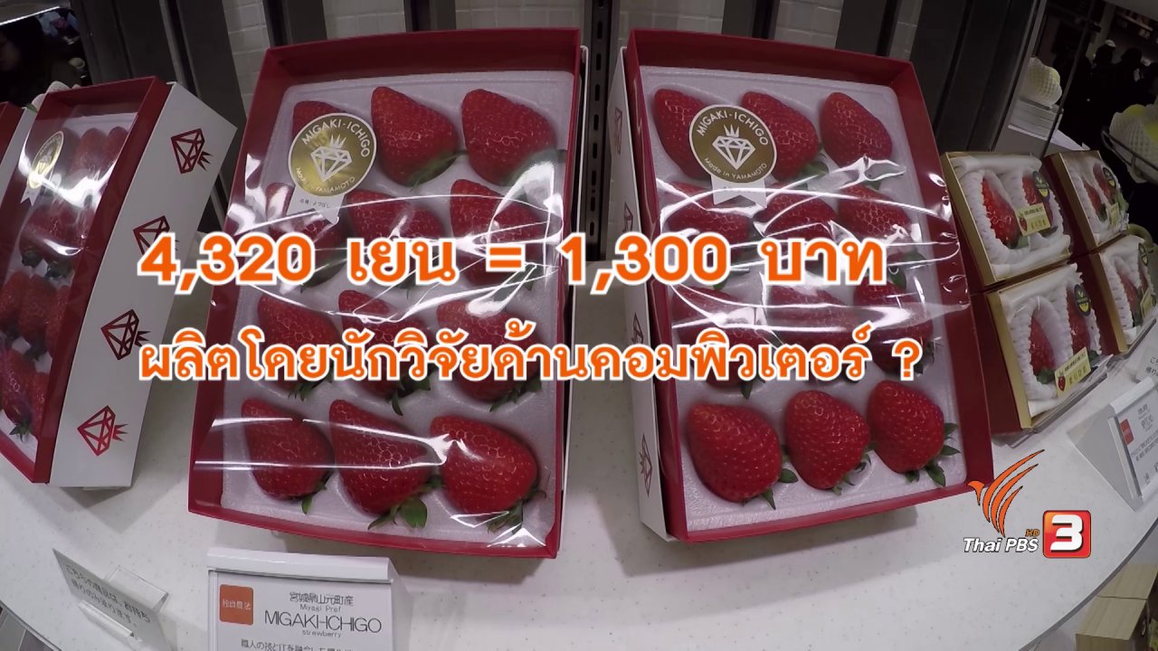 ดูให้รู้ - เกษตรกรนักขาย ทำไร่สตรอว์เบอรีพันเยน