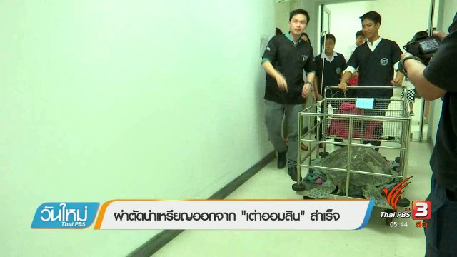 ผ่าตัดนำเหรียญออกจาก "เต่าออมสิน" สำเร็จ