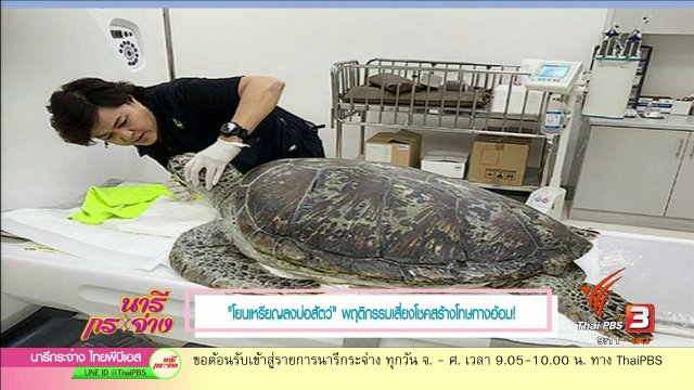 “โยนเหรียญลงบ่อสัตว์” พฤติกรรมเสี่ยงโชคสร้างโทษทางอ้อม!