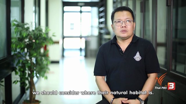 soเชี่ยว FAKE or FACT : การปล่อยกบ ปล่อยเต่า ที่ไหนก็ได้ เป็นการทำบุญจริงหรือไม่