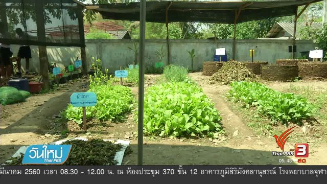 เก็บผักตบชวาทำปุ๋ยหมักฟื้นฟูคลองแม่ข่า