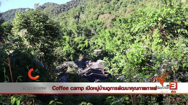 นักข่าวพลเมือง : Coffee camp เปิดหมู่บ้านดูการพัฒนาคุณภาพกาแฟ
