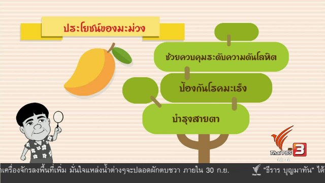 สายสืบเจาะตลาด : สืบราคามะม่วง บางคล้า