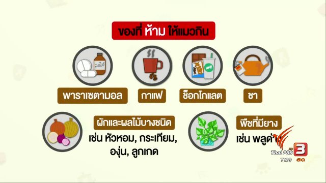 คาเฟ่สัตว์เลี้ยง เสี่ยงโรคติดต่อ