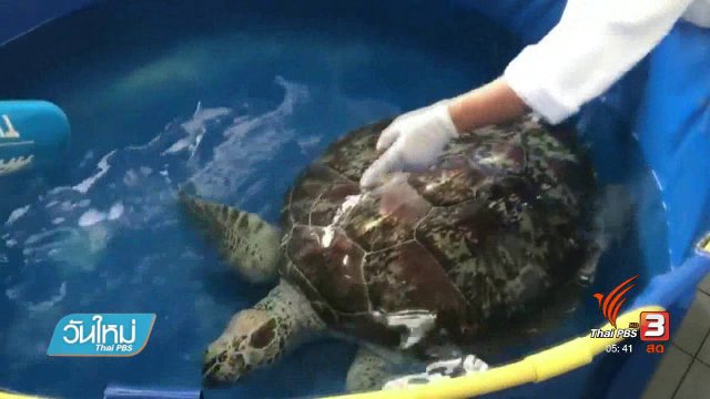 เฝ้าดูพฤติกรรมออมสินร่าเริงขึ้น