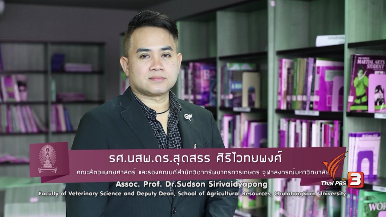 ข่าวค่ำ มิติใหม่ทั่วไทย - soเชี่ยว FAKE or FACT : การให้สุนัขกินของหวานจะทำให้ดุขึ้นจริงหรือไม่