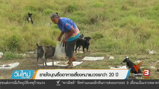 ยายใจบุญซื้ออาหารเลี้ยงหมาแมวจรกว่า 20 ปี