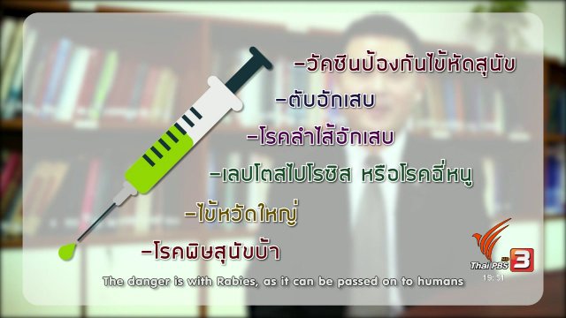 soเชี่ยว FAKE or FACT :  ห้ามอาบน้ำสุนัข 7 วัน หลังฉีดยา จริงหรือไม่