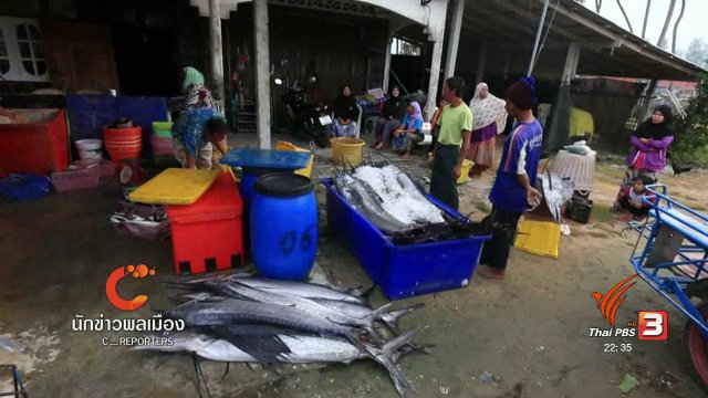 นักข่าวพลเมือง : "ปลากระโทง" ความอุดมสมบูรณ์ที่ปะนาเระ