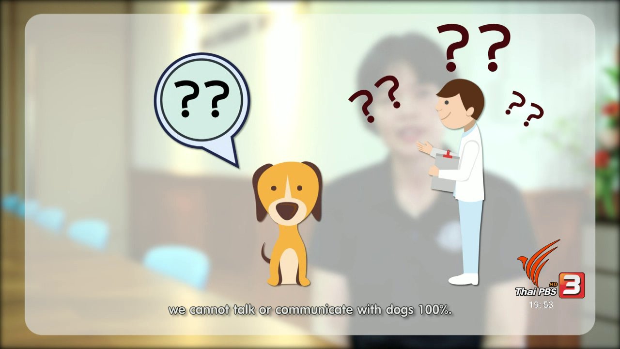 ข่าวค่ำ มิติใหม่ทั่วไทย - soเชี่ยว FAKE or FACT : สุนัขสามารถฝันถึงเจ้าของได้ จริง หรือ ไม่?