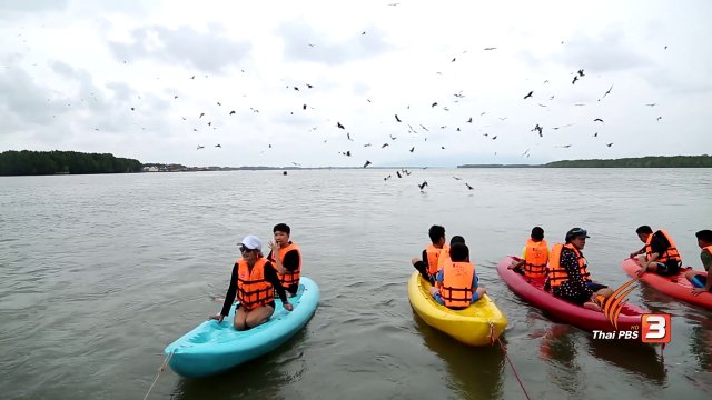 เก๋ายกก๊วน : ล่องแพ แหวกทะเล ชมเหยี่ยวแดง