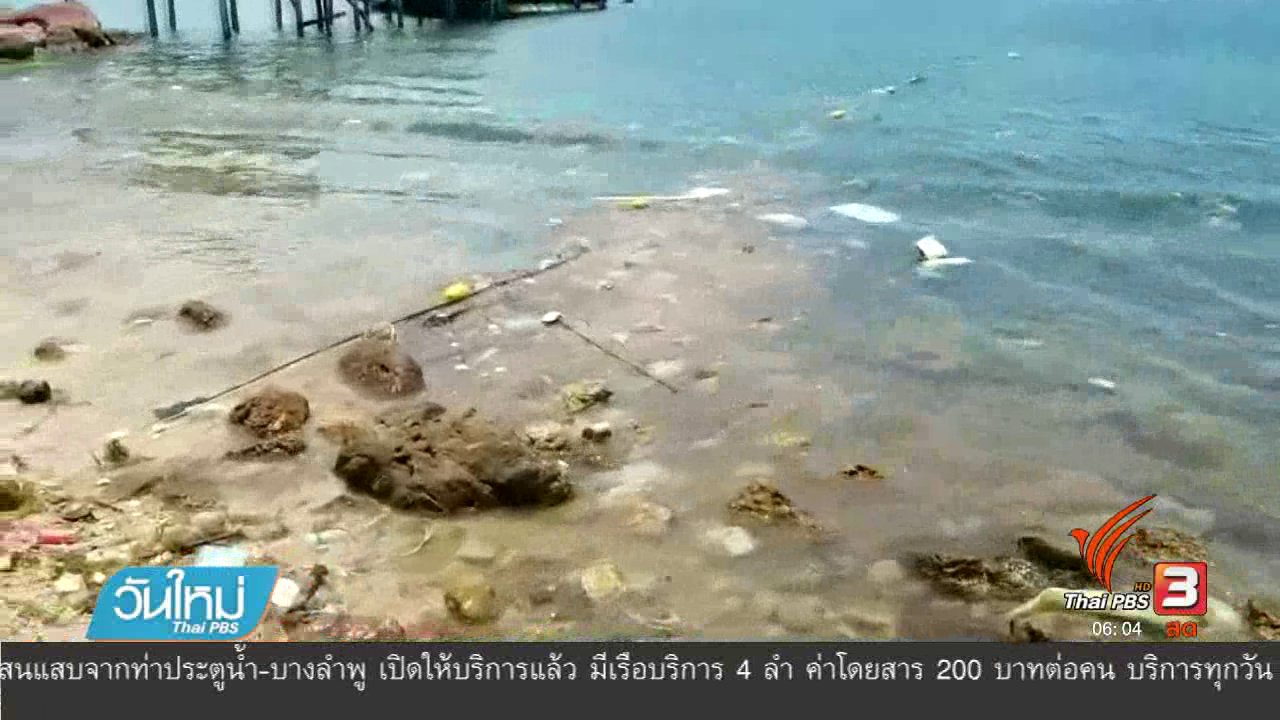 วันใหม่ ไทยพีบีเอส - คลิปแพขยะเกยหาดเกาะทะลุ จ.ประจวบคีรีขันธ์