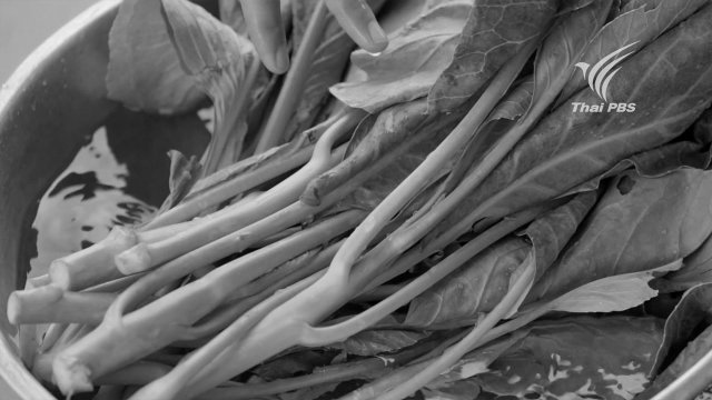 วิธีล้างผักให้สะอาด