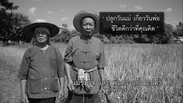 พิธีแรกเกี่ยว