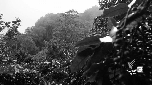 นักข่าวพลเมือง : วิถีป่า วิถีเกษตร บ้านแม่ตองหลวง