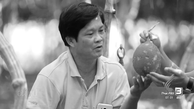 ปลูกพืชผสมผสาน ลดความเสี่ยงทางรายได้